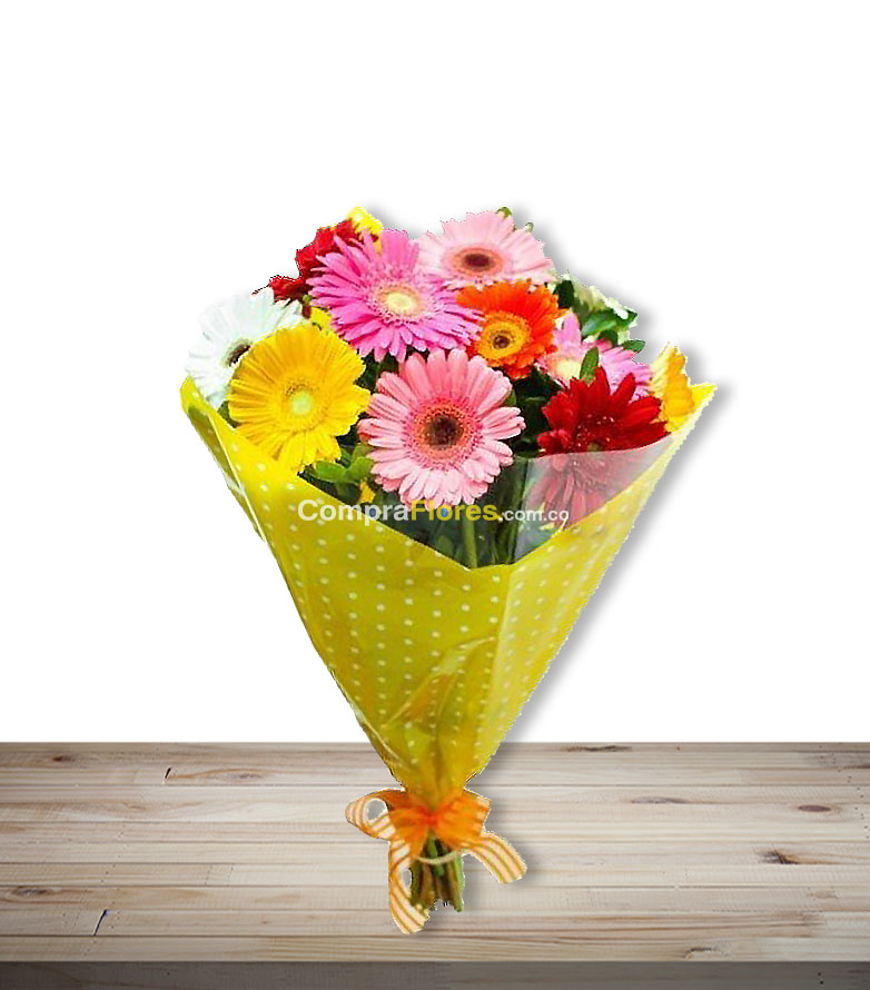 Hermoso Ramillete de Gerberas x 12