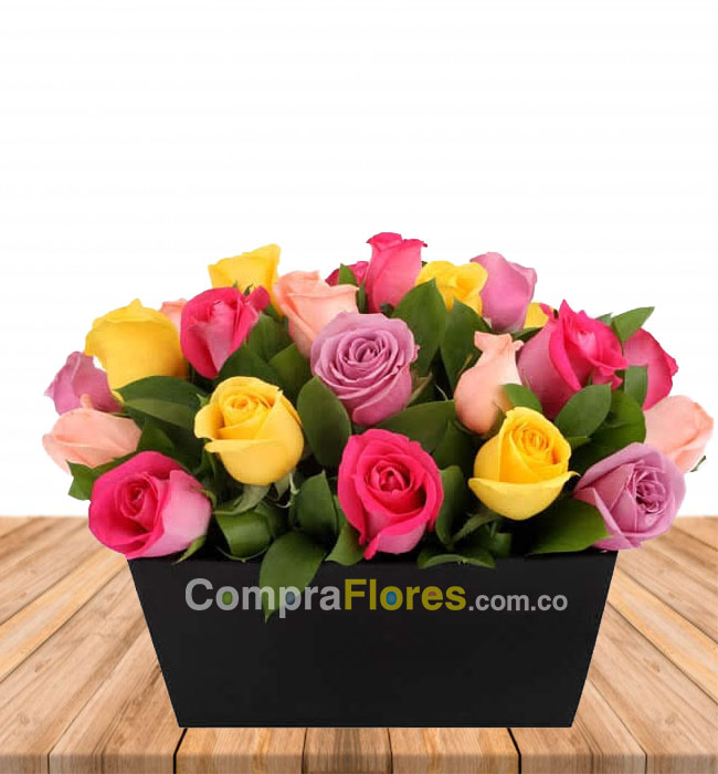 Caja x 24 rosas en Cali surtidas 