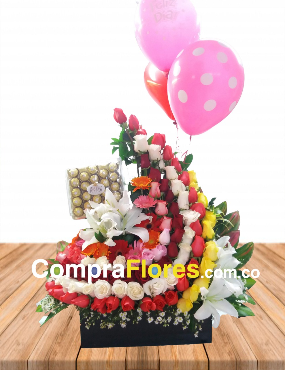 bailarina multicolor 