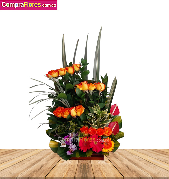 Amistad floral, Rosas en Cali