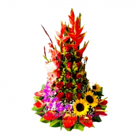 Eternecer Floral Cali